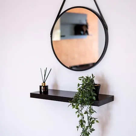 Business And Travel Lounge With Private Parking Apartmán Temešvár