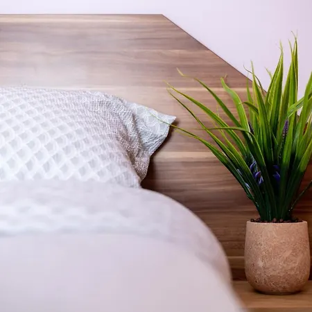 Business And Travel Lounge With Private Parking Appartement