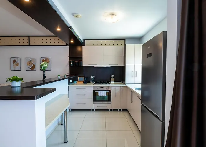 Apartamento Business And Travel Lounge With Private Parking Timişoara