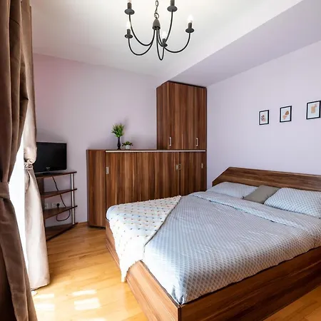 Business And Travel Lounge With Private Parking Apartmán Temešvár