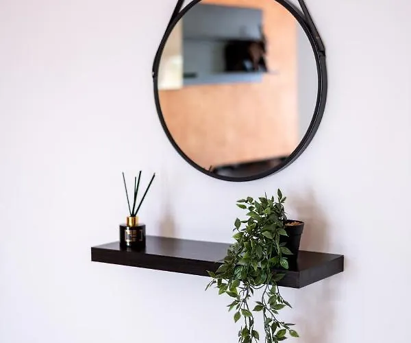 Business And Travel Lounge With Private Parking Appartement Timişoara