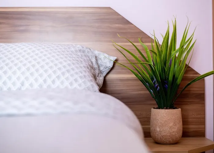 Business And Travel Lounge With Private Parking Appartement