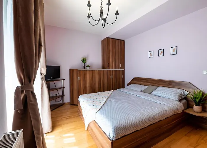 Business And Travel Lounge With Private Parking Appartement Timişoara